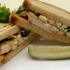 Buffalo  Chicken Panini