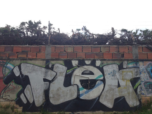 Graffiti Flea
