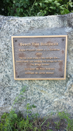 Beech Tree Boardwalk