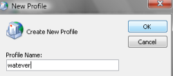 Type a name for the new profile