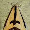 Clymene Moth