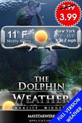 dolphin clock weather widget