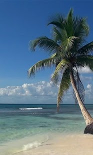 How to install Real Sea Beach Waves LWP 3.0 unlimited apk for laptop