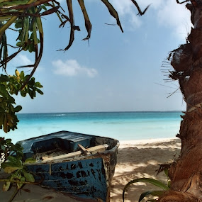 Old Blue Rowing Boat by Martin Thomas - Transportation Boats ( sand, old, painted, rowing, sea, ocean, beach, boat, sun, palm, blue, trees, dingy )