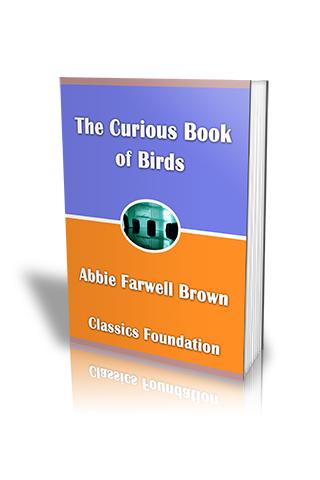 The Curious Book of Birds