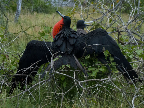 Spotting Image 1