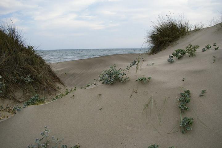 _IGP0106.JPG