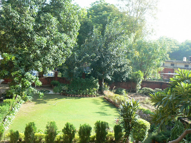 The view from our window.