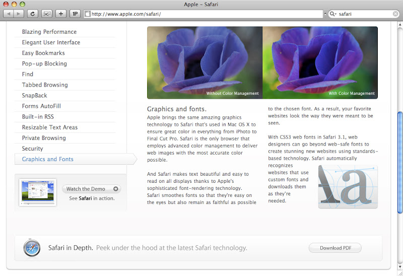 Safari 3.1