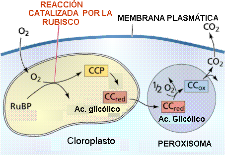 [clip_image059[3].gif]