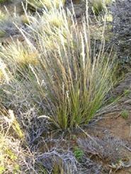 [clip_image080[3].jpg]