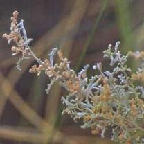 [clip_image104[3].jpg]