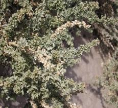 [clip_image106[3].jpg]