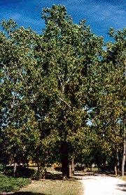 [clip_image115[3].jpg]