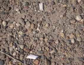 [clip_image240[3].jpg]