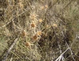 [clip_image242[3].jpg]