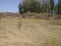 [clip_image247[3].jpg]