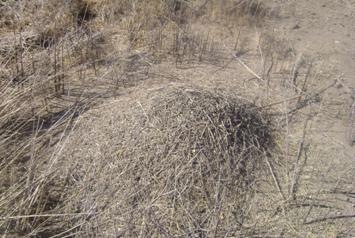 [clip_image261[3].jpg]