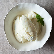 Lemon Basil Sherbet