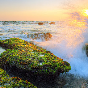 sunset and waves by Willy Brordus - Landscape & Nature Waterscapes ( waves, sunset )