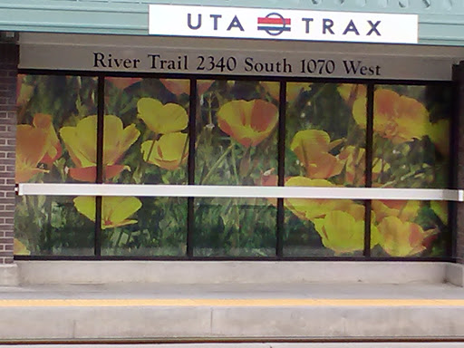 Flowers at River Trail Station