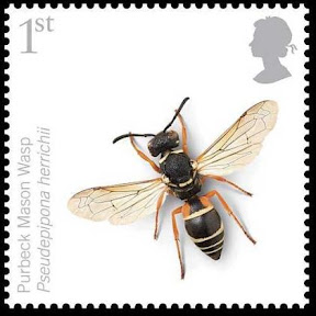 endangered wasp stamp