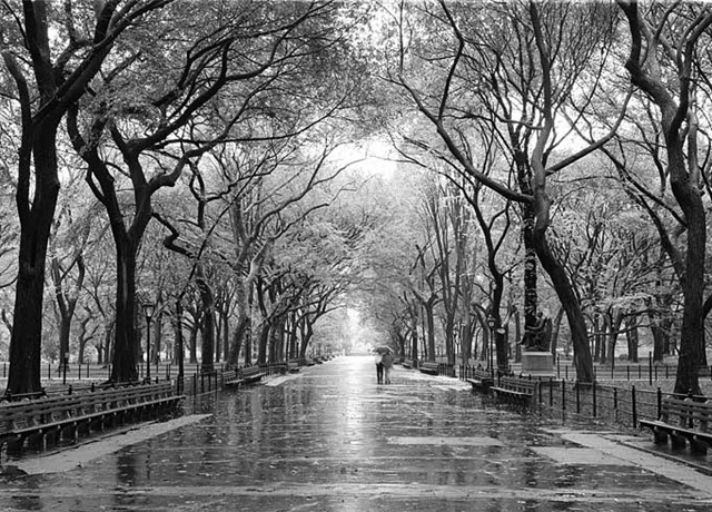 [central_park_malll[3].jpg]