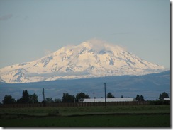 IMG_4395