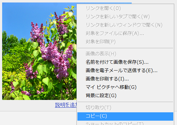 [image6.png]