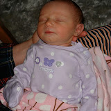 Marley's First Week Home