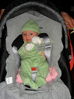 Marley's Second Week Home &ndash; Leprechaun