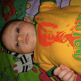 12-13 weeks old