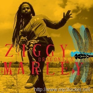 [ZiggyMarley-Dragonfly[2].jpg]