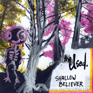 [Usedshallowcoverart[2].jpg]