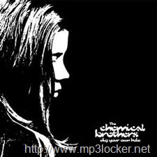 [Dig_your_own_hole_album_cover[2].jpg]