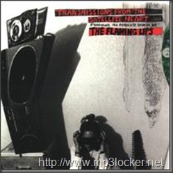 Transmissions_from_the_satellite_heart_album_cover