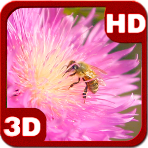 Summer Bee on Clover Flower 3D