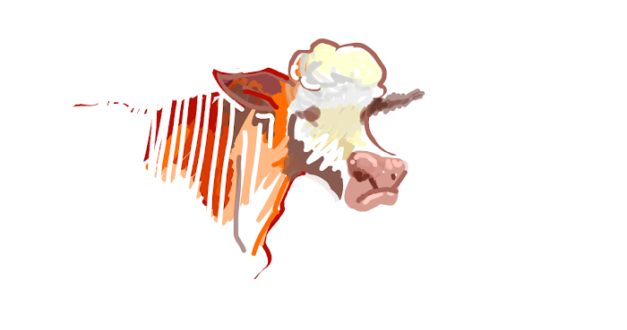 ambivalent cow