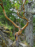 DSC02321.JPG
