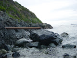 DSC02365.JPG