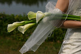 IMG_3266.JPG