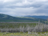 P1010261.JPG