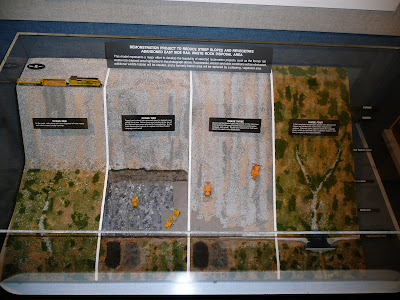 P1010589.JPG