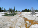 P1000721.JPG