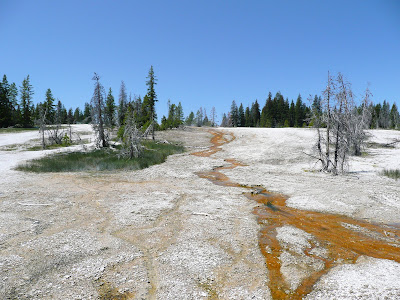 P1000721.JPG