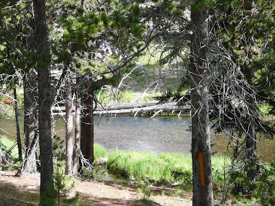 P1000957.JPG