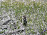 P1010030.JPG