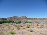 P1010619.JPG