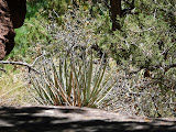 P1010690.JPG