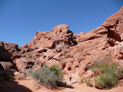 P1020625.JPG
